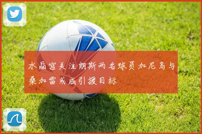 水晶宫关注朗斯两名球员加尼乌与桑加雷或成引援目标